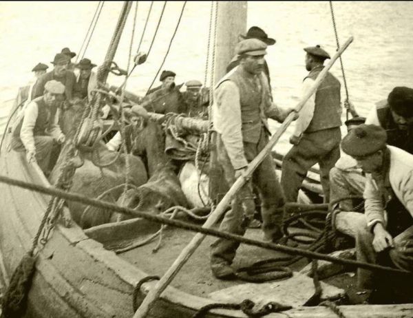 On board